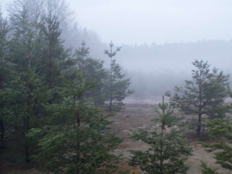 Mlha, les a mlha
[760×570 – 0 kB]
